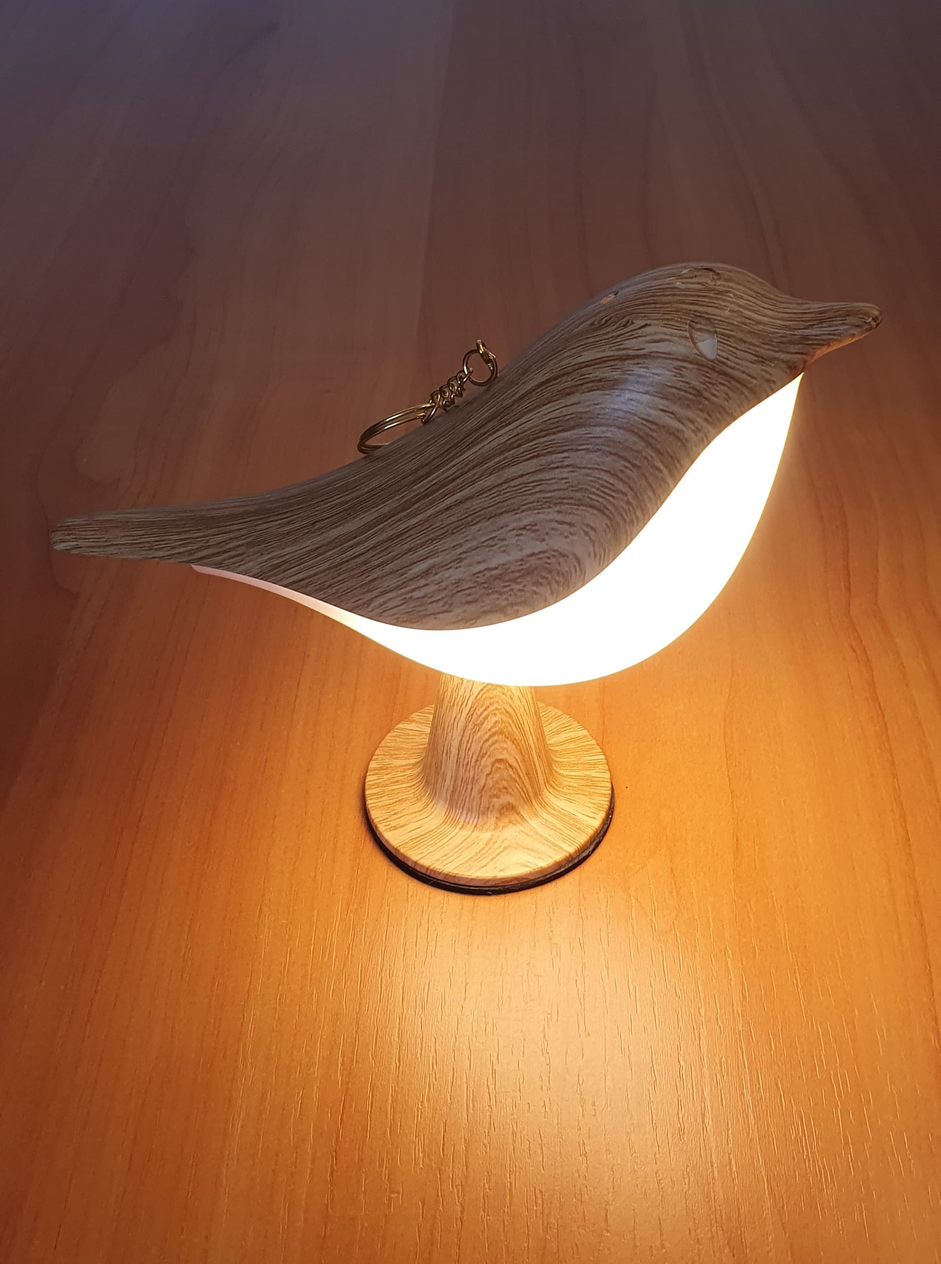 Lampka LED Ptaszek 3 Kolory Światła